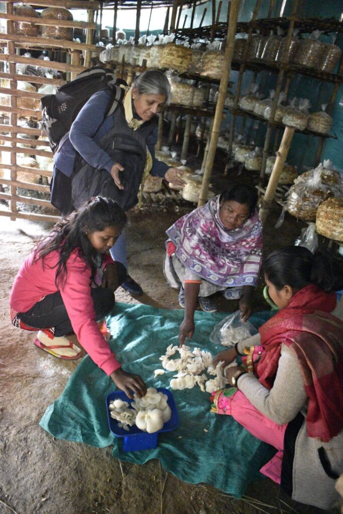 Women sorting mushrooms at a cultivation facility as part of a mushroom farming project promoting women empowerment in India.