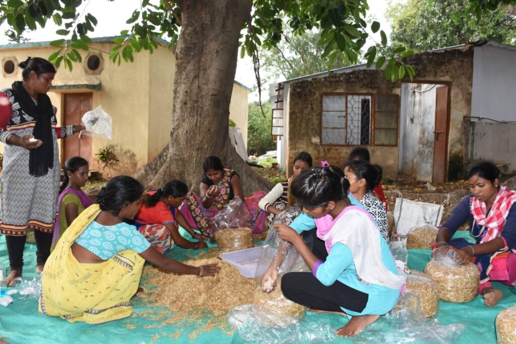 A group of women cultivating mushrooms under a tree.