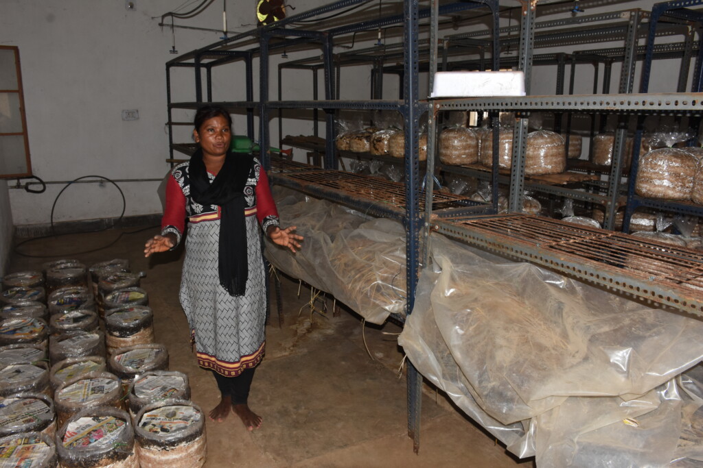 Munni Kehsariyar shows a part of a mushroom farming facility where mushrooms are grown.