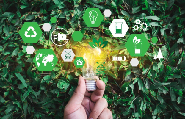 A hand holding a lightbulb with eco-friendly icons floating above green leaves symbolises ideas of being sustainable and eco-conscious.