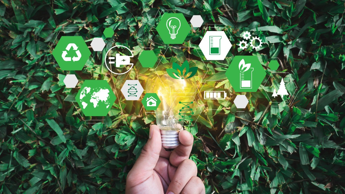 A hand holding a lightbulb with eco-friendly icons floating above green leaves symbolises ideas of being sustainable and eco-conscious.
