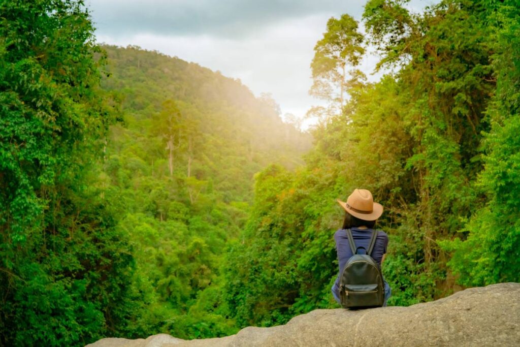 Back view of a woman sitting on a stone amidst lush forest greenery.