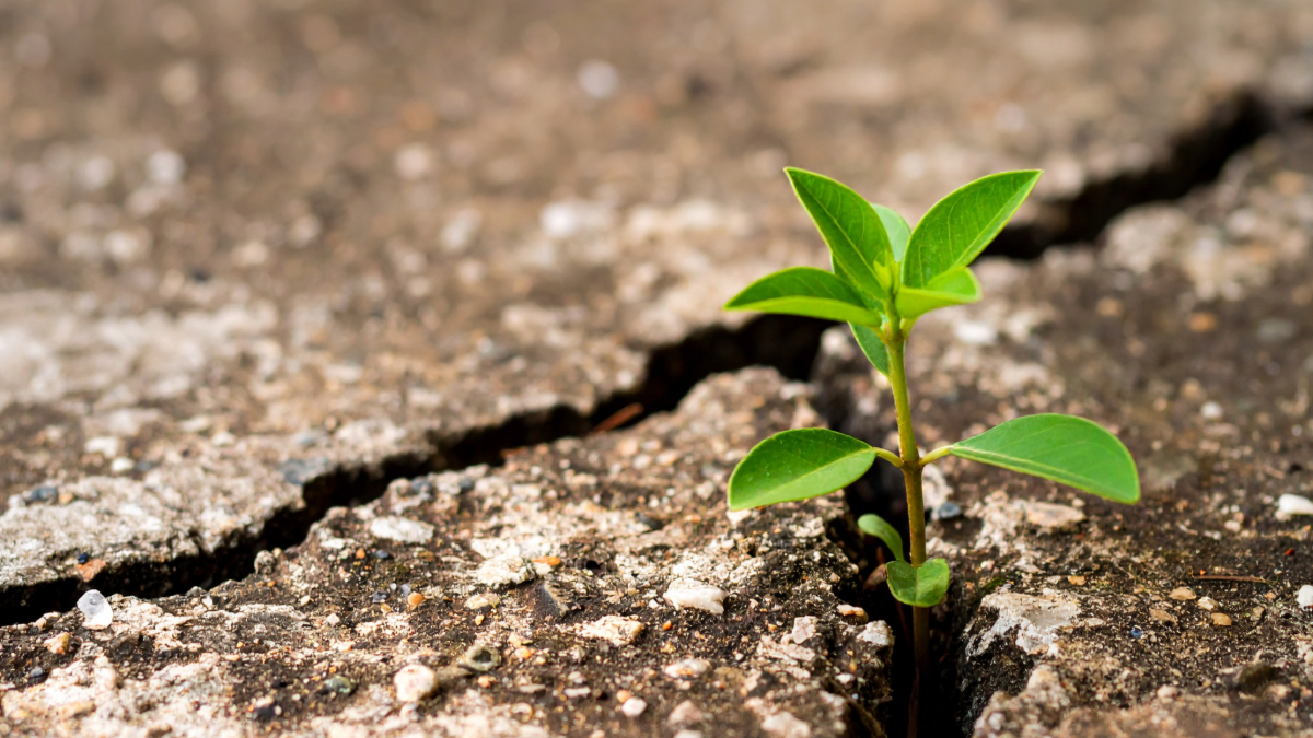 Community in Crisis: 3 Key Actions for a Sustainable Recovery