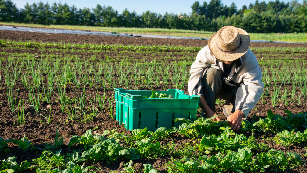 3 Ways Sustainable Resources in Rural Communities Drive Growth and Resilience