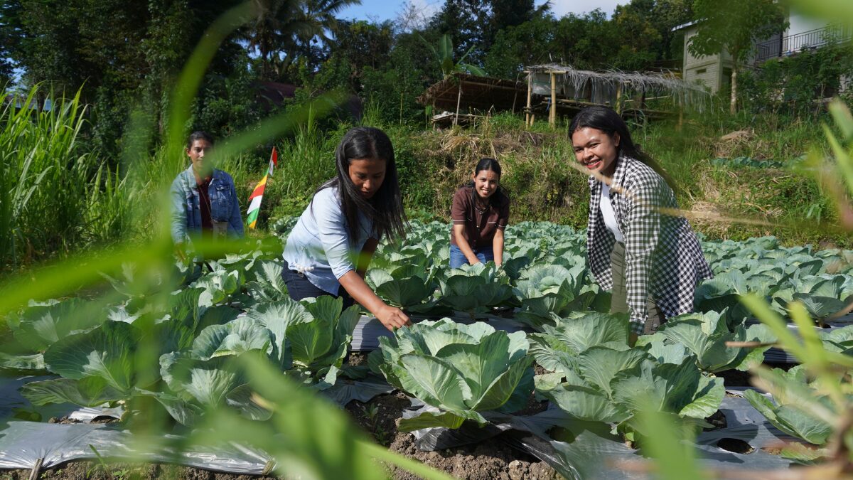Youth farmers in RYTHM and Plan Indonesia's Climate Smart Agriculture project in East Nusa Tenggara.